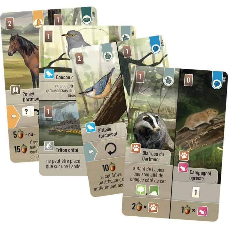 Forêt Mixte - Dartmoor – Image 2